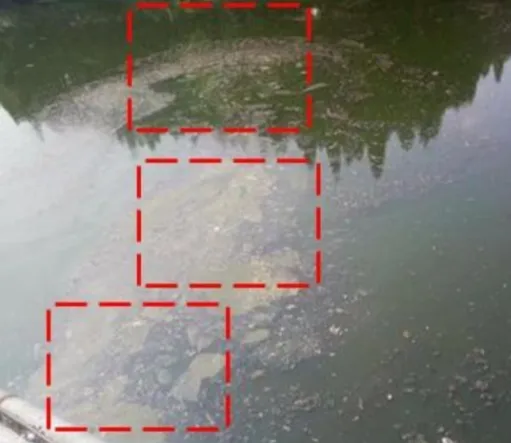 UAV-Dock River Inspection