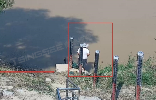 项目案例与资质